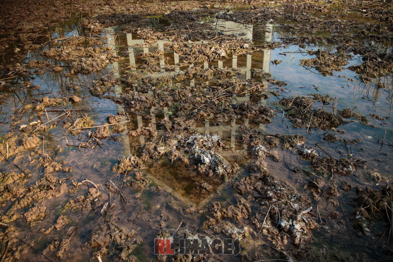 泥地中的教学大楼