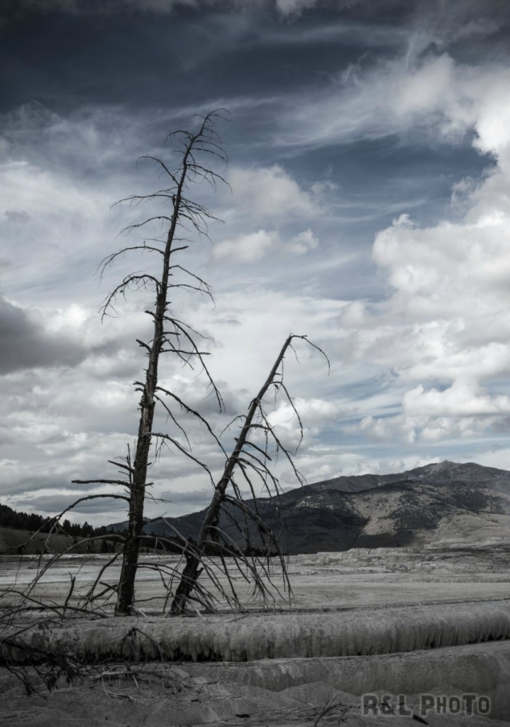 Yellowstone20130915-1-405