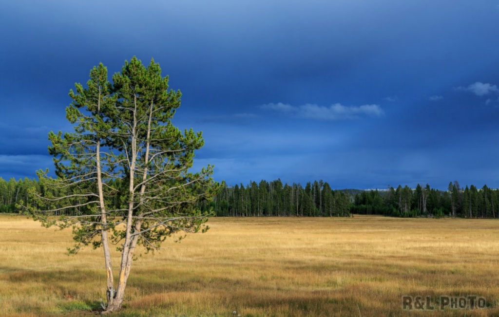 Yellowstone20130915-1-491